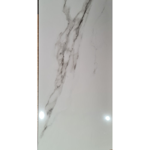 Floor Tiles Christchurch » Reptiles