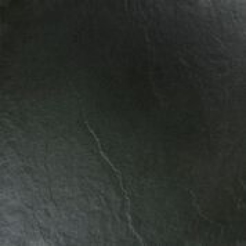 Floor Tiles Christchurch » Reptiles